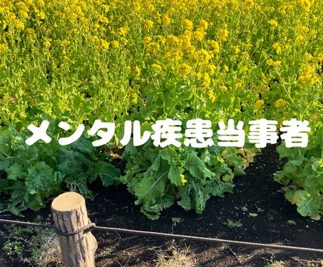 1分からOK!メンタル疾患当事者が相談に乗ります 選べるチャット相談サービスで気軽に相談 イメージ2