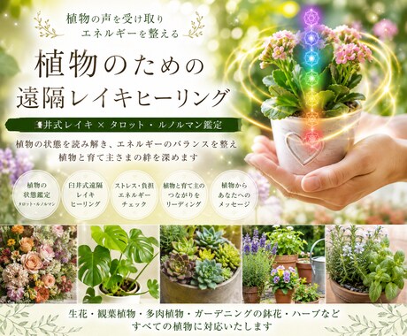 あなたの大切な植物ヒーリングします 生花、多肉植物、観葉植物、ハーブ、鉢植えの花、野菜ヒーリング イメージ1