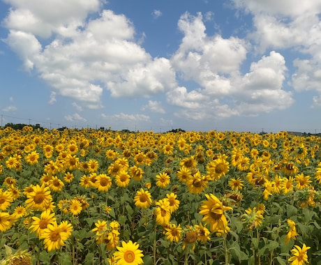 やりたいこと、全力サポートします 誰のために生きてるの？両親？兄弟？？自分の人生楽しもう！ イメージ2