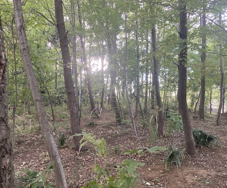 心をのんびりまったりします 疲れた脳をまったりとした空間と雰囲気で癒します イメージ1