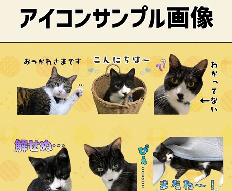 ペットのお写真でLINEスタンプ8個制作します 作成～申請までお任せください♪ イメージ2