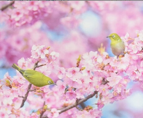 なんでも聞きます 愚痴、不平不満聞いてほしい！こと。吐き出しましょう♪ イメージ2