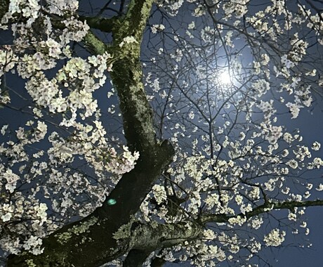 つらい、苦しい、逃げたいなどの気持ちに寄り添います あなたの思いを言葉にし、やさしく理解を支えます。 イメージ2