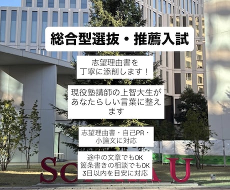 推薦入試の文章を添削します 塾講師の上智大生が、伝わる文章に整えます イメージ1