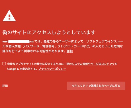 ご利用PCのウィルス（マルウェア）をチェックします 現役のサイバーセキュリティ会社のアナリストがサポート イメージ1