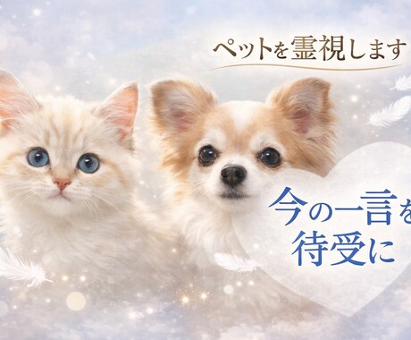 ペットの一言メッセージデジタルお守りを作成します ペットを霊視し必要な一言メッセージをスマホの待受画像でお届け イメージ1