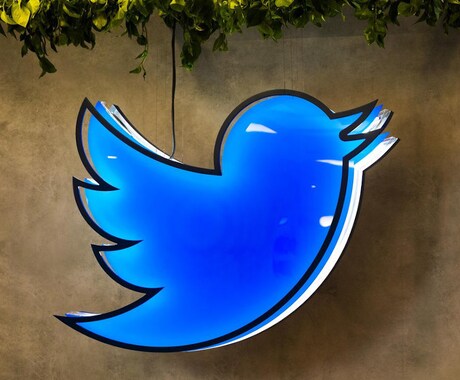 Twitterの運用代行、お試しプラン承ります スマホアプリの公式アカウントの運用経験を活かしツイートします イメージ1