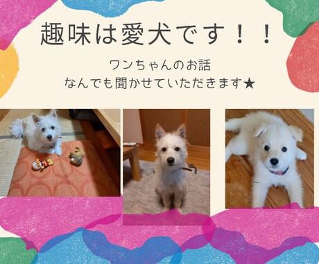 ワンちゃんのお話なら何でも喜んで聞きます 趣味は愛犬♡ストレス解消法も愛犬☆彡な私が気軽にお聞きします イメージ1
