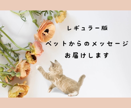 レギュラー版：ペットからのメッセージをお届けします 大事なパートナー家族である動物たちのメッセージを聞きたい方へ イメージ1