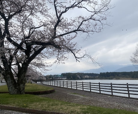 お試しで鑑定ます 相談になるでは無く、購入者様の分析を行います イメージ1