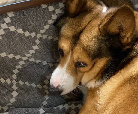 その人にとって何が大事なのかをはっきり伝えます ズバズバ言います、同情も大事だと思いますがズバズバ言います イメージ2