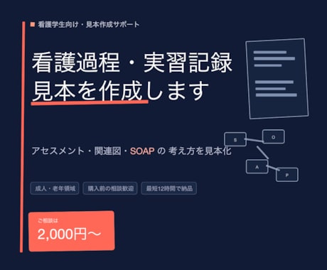 看護過程・実習記録の見本を作成します 臨床経験10年×プレ専門看護師の私が実習記録の見本を作ります イメージ1