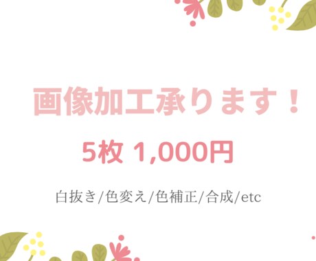 画像加工承ります 白抜き/切り抜き/文字消し/色変換ご相談くださいませ。 イメージ1