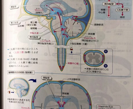 看護師国家試験勉強法おしえます 救命センター看護師が国家試験前の学生さんの質問受け付けます！ イメージ2