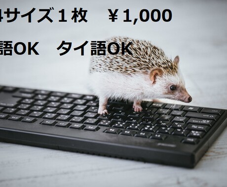 英文も可能　入力業務をお手伝いします イメージ1