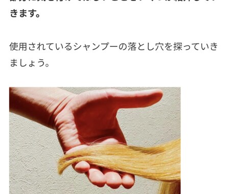 1記事2000〜3000文字程度で文書作成致します ブログ記事等ライディング致します。 イメージ2