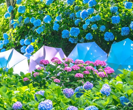 からす丸様専用ページでこざいます からす丸さま、専用ページです。よろしくお願い致します。 イメージ1