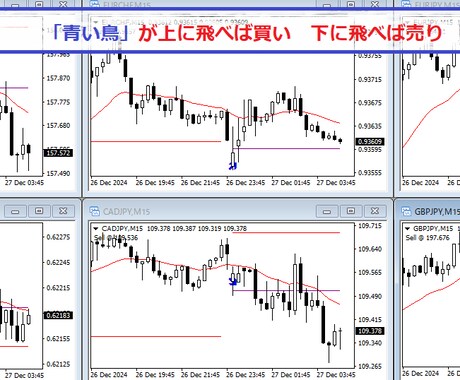 私達が増やしているR:R1：2の「青い鳥」使えます 皆の結果に差異無！値動きの流れに追随出来る道具をお渡しします イメージ2
