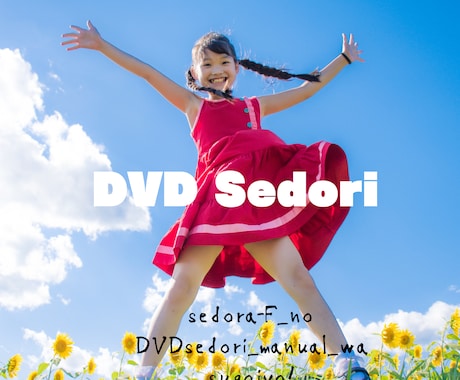 副業☆初心者OK!「●●DVDせどり」お教えします メルカリ対応！せどらーF開発のDVD販売をしてみませんか？ イメージ1