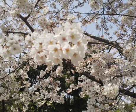 お悩み伺います (介護士や介護しているご家族の方々へ) イメージ1