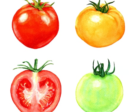 水彩画で野菜・果物などの食べ物イラストを描きます 〜丁寧なヒアリング〜 温かく優しいタッチが得意です♪ イメージ2