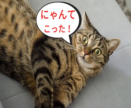 あなたが体験したあり得ない話聴きます 誰かに話したい「にゃんてこった！」な出来事、お聴きします イメージ1