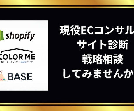 ECサイトの診断を行いアドバイスします 重要数値の見方や考え方をレクチャーします イメージ1