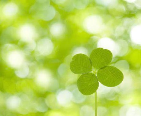 愚痴聞き、お悩み相談などお受けします のんびりストレス解消しませんか？ イメージ1