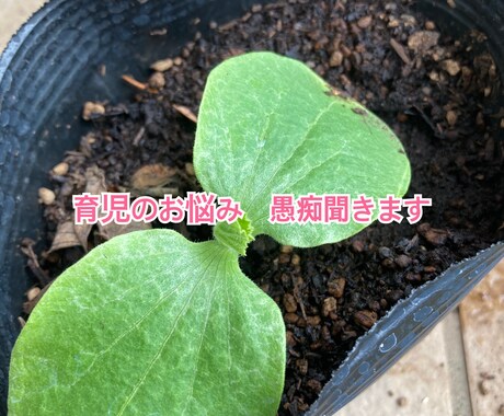 お子さんの発達の不安相談に乗ります 発達凸凹娘を子育て中の保育士かぁちゃんが悩みや愚痴を聞きます イメージ1