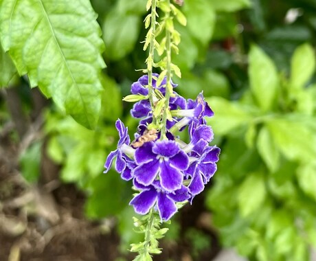 あなたの心の声に、そっと耳を澄ませます 話す事で心が解ける。そんな時間をお届けしたいと思っています。 イメージ1