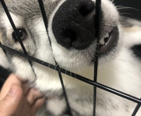 今この場で疲れている方、心のマッサージをします 心のコリをほぐしませんか？今日、明日少しでも心身を楽に イメージ1