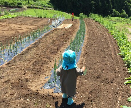 保育士試験アドバイスします 1年で合格できた勉強法を伝授します。 イメージ1