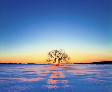 否定せず、あなたの心をゆっくり整えます あなたの想い、聞かせてください。 イメージ1