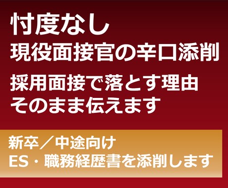忖度なし｜現役面接官が落とす理由をそのまま伝えます 新卒／中途向け｜リアルな評価を基にES・職務経歴書を添削 イメージ1