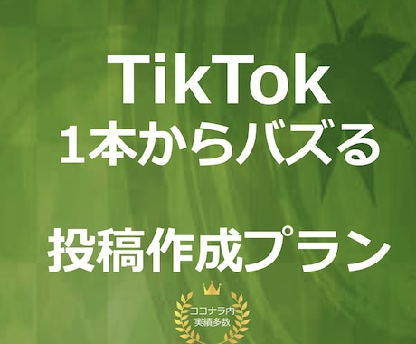 バズる【TikTok】動画編集行います バズり専門のTikTokチームが動画編集行います！ イメージ1