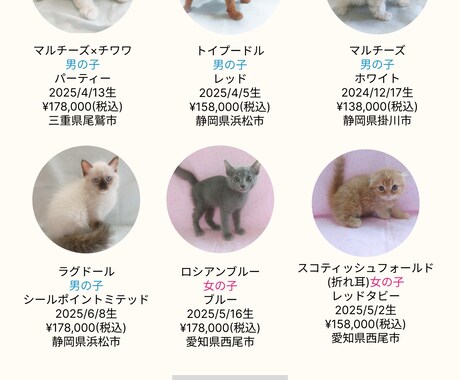 WordPressでHP制作いたします はじめてのHPづくりも、いちから丁寧にサポートします。 イメージ2