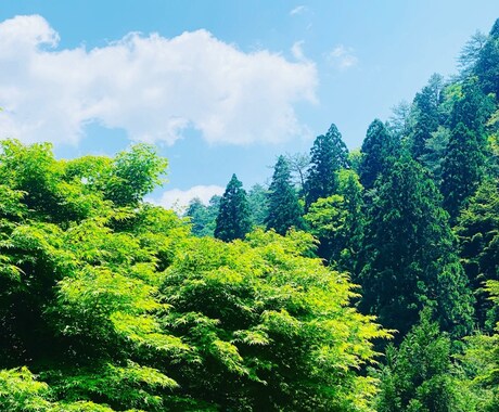 あなたの愚痴・悩み何でも聞きます 1人で悩まないでください！！嫌な事は全部吐き出しましょう！ イメージ1