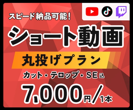 動画丸投げで動画を作成します ◇あなたの魅力を、わかりやすく、おもしろく◇ イメージ1