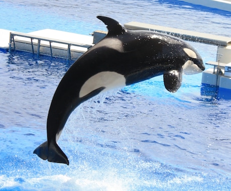 水族館のイメージ画像を提供します イメージ1