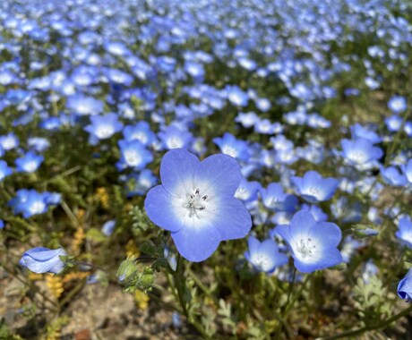 社会福祉士資格取得を応援します 「なりたい私」に向かいましょう。 イメージ1