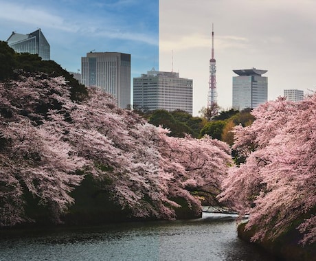最短1日！曇り空も晴れ空に！！画像編集受け承ります 画像の切り抜き、合成などを最短翌日までに完成させます！ イメージ1