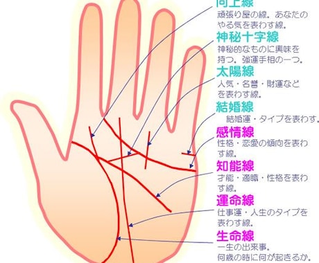 手相講座します 手相講座の初期から上級講座です。 イメージ1