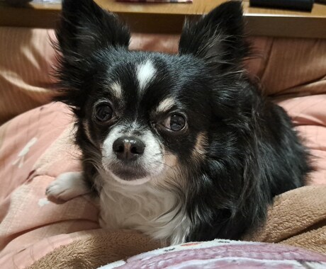 あなたに合わせて話し相手になります お試し1分でもOK！あなたの話したいことを話してください イメージ1