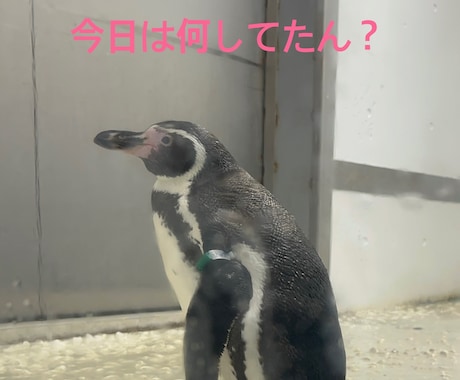 関西弁がいいよって方には関西弁で話します 優しい関西弁でお話しします╰(*´︶`*)╯♡ イメージ2