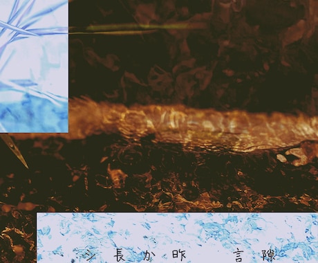 世界観のあるCDジャケットを作ります 音楽がイメージならアートワークは風味になります。 イメージ2