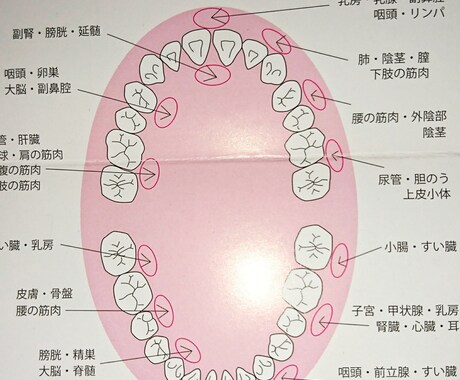 お口のトラブルや悩み解決致します お口の事でお悩みの方口臭 歯ブラシの選び方等々 イメージ2
