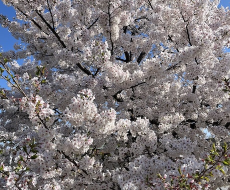 誰にも話せない性のお悩みお聞きします 吐き出してスッキリしてもらうと嬉しいです！ イメージ1