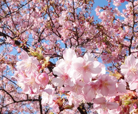 一緒に歩いて転職のお手伝いをします 1人じゃなければ面倒な転職活動もできる イメージ1