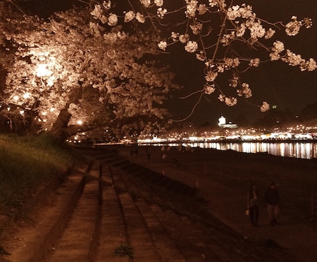 桜の写真販売してます 綺麗なな風景写真をあなたの身近に イメージ2