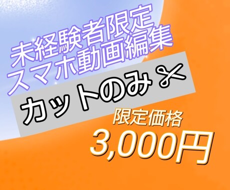 カットのみのシンプル動画編集いたします イメージ1